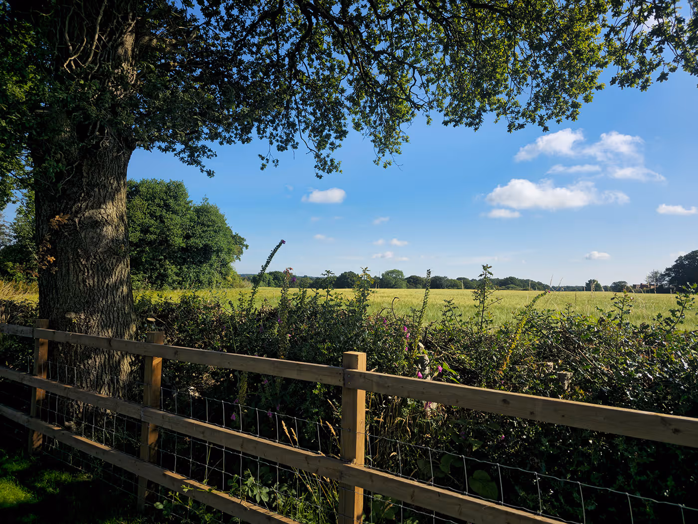 Wooden fence with wire mesh by a tree framing a green field under a blue sky with scattered clouds.